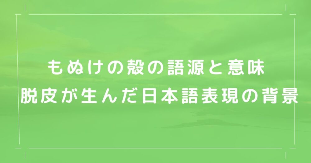 もぬけの殻の語源と意味 脱皮が生んだ日本語表現の背景